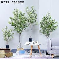 uploads/erp/collection/images/Home Garden/dgjiawang/XU0613085/img_b/XU0613085_img_b_1
